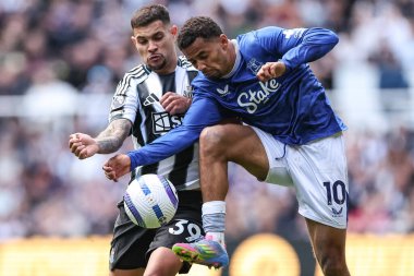 Everton 'dan Iliman Ndiaye ve Newcastle United takımından Bruno Guimares Premier Lig karşılaşmasında Newcastle United Everton' a karşı St. James 's Park, Newcastle, Birleşik Krallık' ta 25 Mayıs 2025 'te mücadele ettiler.