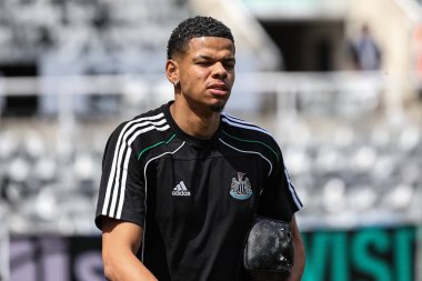 Newcastle United takımından William Osula, 25 Mayıs 2025 'te İngiltere' nin Newcastle kentindeki St. James 's Park' ta oynanan Premier League maçı sırasında geldi.