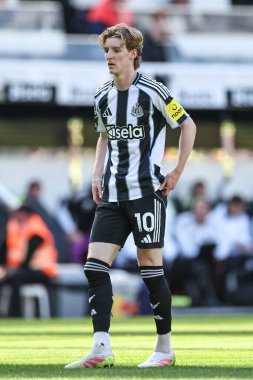 Newcastle United takımından Anthony Gordon, 25 Mayıs 2025 'te St. James' s Park, Newcastle, İngiltere 'de oynanan Premier League maçı sırasında Everton' a karşı Newcastle maçında
