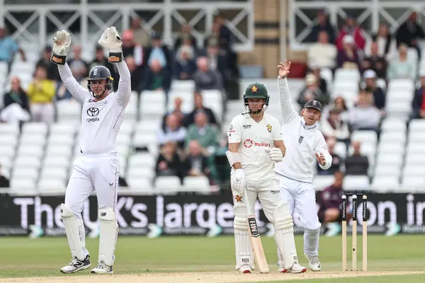 İngiltere 'den Jamie Smith' in Zimbabwe 'li Ben Curran' la ilgili LBW itirazları, 24 Mayıs 2025 'te Trent Bridge, Nottingham, İngiltere' de oynanan Rothesay Test Maçı 3.