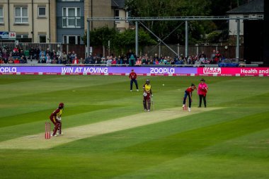 İngiltere 'den Emily Arlott 3. Vitality IT20 Serisi' nde Bayanlar, 26 Mayıs 2025 'te Cloud County Ground, Chelmsford, Birleşik Krallık' ta İngiltere 'ye karşı Batı Hint Kadınları ile eşleşti.