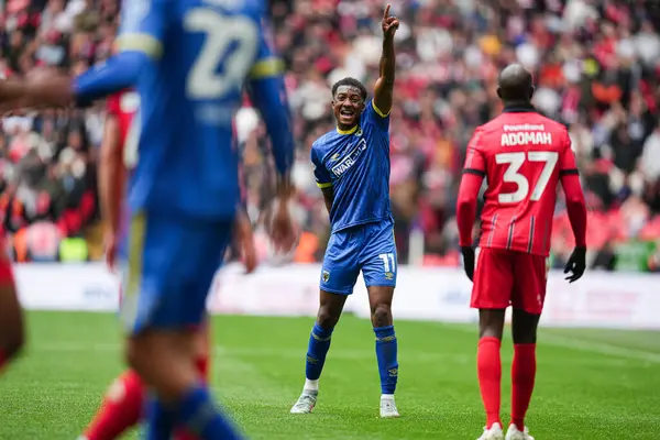 AFC Wimbledon takımından Josh Neufville 26 Mayıs 2025 'te Wembley Stadyumu' nda oynanan Wimbledon-Walsall maçında talimatları haykırıyor.