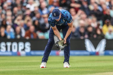 İngiltere Valesi, 3 Haziran 2025 'te Kia Oval, Londra' da Batı Hint Adaları 'nda düzenlenen 3. Metro Bank ODI İngiltere - Batı Hint Adaları sırasında topa isabet eden bir güvercini kontrol edecek mi?