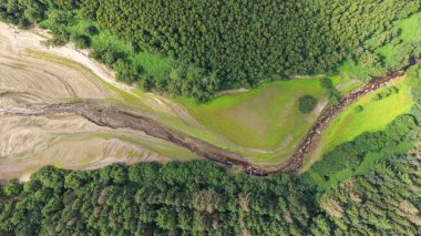 Langsett Barnsley 'de yaz kuraklığı devam ederken 18 Temmuz 2025' te Langsett Rezervuarı 'nda su seviyesi düştükçe bitki örtüsü büyümeye başlar.