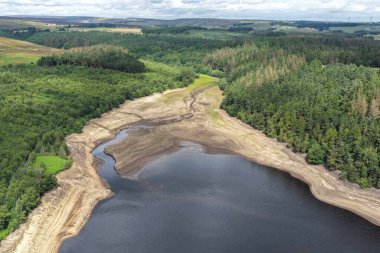 Langsett Barnsley 'de yaz kuraklığı devam ederken 18 Temmuz 2025' te Langsett Rezervuarı 'nda su seviyesi düştükçe bitki örtüsü büyümeye başlar.