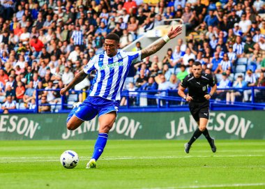 Sheffield Wednesday 'den Liam Palmer, İngiltere' nin Hillsborough kentinde oynanan Sheffield Wednesday-Stoke City maçında gol atma şansı yakaladı.