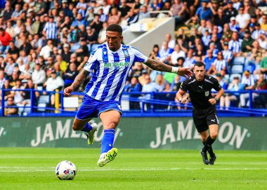 Sheffield Wednesday 'den Liam Palmer, İngiltere' nin Hillsborough kentinde oynanan Sheffield Wednesday-Stoke City maçında gol atma şansı yakaladı.