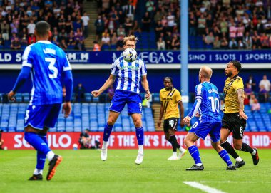 Sheffield Wednesday takımından Svante Ingelsson, İngiltere 'nin başkenti Hillsborough' da Çarşamba günü oynanan 