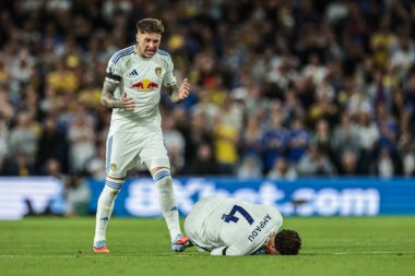 Leeds United 'dan Joe Rodon, Leeds United' tan Ethan Ampadu 'yu Premier Lig maçı sırasında Leeds United' ın Everton 'a karşı oynadığı Elland Road, Leeds, Birleşik Krallık' ta 18 Ağustos 2025 'te aldığı darbe sonrasında kontrol ediyor.