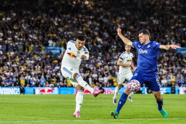 Leeds United takımından Jol Piroe, 18 Ağustos 2025 'te Leeds United ile Everton arasında oynanan Premier Lig maçında gol attı.