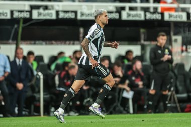 Newcastle United takımından Bruno Guimares, 25 Ağustos 2025 'te St. James' s Park, Newcastle, İngiltere 'de oynanan Premier League karşılaşmasında 1-2 kazanma hedefini kutluyor.