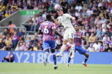 Nottingham Ormanı 'ndan Chris Wood, 24 Ağustos 2025' te İngiltere 'de Selhurst Park' ta oynanan Premier League maçı sırasında Nottingham Ormanı 'na karşı Crystal Palace maçını kazandı.