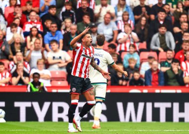 Sheffield United 'dan Ben Godfrey, 23 Ağustos 2025' te Bramall Lane, Sheffield, İngiltere 'de oynanan Sheffield United-Millwall maçında tepki gösterdi.