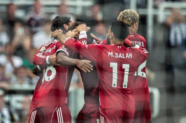 Liverpool 'dan Ryan Gravenberch, 25 Ağustos 2025' te St. James 's Park, Newcastle, İngiltere' de oynanan Premier League maçı Newcastle United-Liverpool maçında 0-1 kazanma hedefini kutluyor.