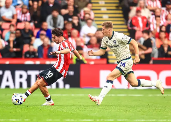 Sheffield United takımından Callum O 'Hare, 23 Ağustos 2025' te Bramall Lane 'de Sheffield United ile Millwall arasındaki Gökyüzü İddia Şampiyonası maçında pas attı.