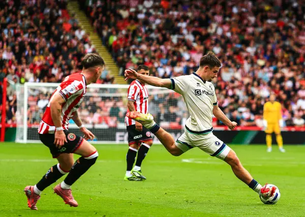 Millwall 'dan Camiel Neghli, 23 Ağustos 2025' te Bramall Lane, Sheffield, İngiltere 'de Sheffield United ile Millwall arasındaki Gökyüzü İddia Şampiyonası maçında gol atma şansı yakaladı.