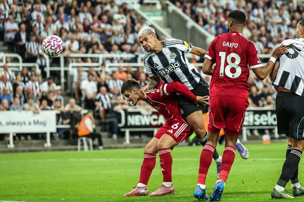 Newcastle United takımından Bruno Guimares, Premier League maçında St.James 's Park, Newcastle, 25 Ağustos 2025' te oynanan Liverpool maçında 1-2 berabere kaldı.