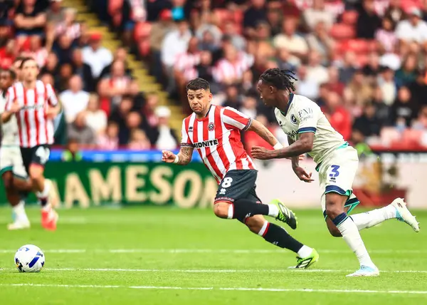 Sheffield United takımından Gustavo Hamer, 23 Ağustos 2025 'te Bramall Lane, Sheffield, İngiltere' de oynanan Gökyüzü İddia Şampiyonası maçında Millwall 'dan Zak Sturge' a baskı yaptı.