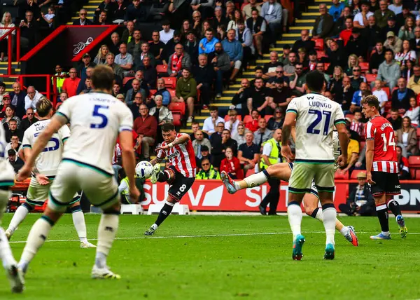 Sheffield United takımından Gustavo Hamer, 23 Ağustos 2025 'te Bramall Lane, Sheffield, İngiltere' de oynanan Sheffield United-Millwall maçında gol atma şansı yakaladı.