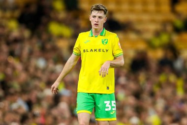 Norwich City 'den Kellen Fisher, Carabao Kupası maçı sırasında Norwich City' nin Southampton 'a karşı Carrow Road, Norwich, İngiltere' de maçı izliyor.