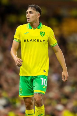 Norwich City 'den Matej Jurasek, Norwich City ile Southampton arasındaki Carrow Road, Norwich maçına bakıyor.