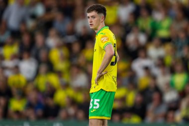 Norwich City 'den Kellen Fisher, Carabao Kupası maçı sırasında Norwich City' nin Southampton 'a karşı Carrow Road, Norwich, İngiltere' de maçı izliyor.