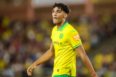 Norwich City 'den Ben Chrisene, Carabao Kupası maçı sırasında Norwich City ile Southampton' a karşı, Norwich Road, Norwich, Birleşik Krallık 'ta, 26 Ağustos 2025' te seyrediyor.