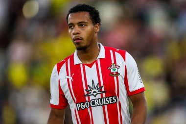 Southampton 'dan Cameron Archer, Carabao Kupası maçı sırasında Norwich City, Southampton' a karşı Norwich Road, Norwich, İngiltere, 26 Ağustos 2025