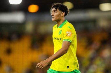 Norwich City 'den Ben Chrisene, Carabao Kupası maçı sırasında Norwich City ile Southampton' a karşı, Norwich Road, Norwich, Birleşik Krallık 'ta, 26 Ağustos 2025' te seyrediyor.