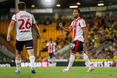 Southampton 'dan Cameron Archer, Carabao Kupası maçı sırasında Norwich City, Norwich Road, Norwich, İngiltere' de oynanan 26 Ağustos 2025 'te 0-1' lik galibiyetini kutluyor.