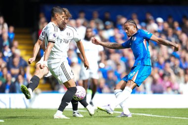 Chelsea 'den Joao Pedro, 30 Ağustos 2025' te Stamford Bridge, Londra 'da oynanan Chelsea-Fulham Premier Lig karşılaşmasında gol atma girişiminde bulundu.