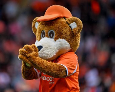 Bloomfield Bear maskotu Gökyüzü İddia Ligi 1 maçında Blackpool Bolton Wanderers 'a karşı Bloomfield Road, Blackpool, İngiltere, 30 Ağustos 2025