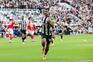 Newcastle Untied takımından Bruno Guimaraes, Premier League maçı Newcastle United ve Nottingham Forest maçında 5 Ekim 2025 'te St. James' s Park, Newcastle, İngiltere 'de 1-0 kazanma hedefini kutluyor.