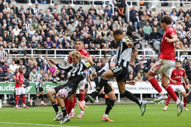 Newcastle United takımından Malick Thiaw, Premier League maçı Newcastle United ile Nottingham Forest maçında 5 Ekim 2025 'te St. James' s Park, Newcastle 'da gol attı.