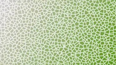 Renkli unsurlarla hareketli arka plan görüntüleri. Çiçekler. Eski model. Bayrak tarzı. Video kaydı. Şablon. Ekran koruyucular ya da reklamlar için karalama. Kusursuz. Döngü.