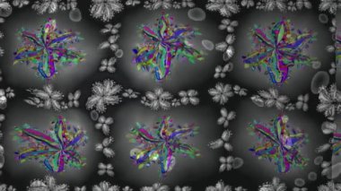 Renkli unsurlarla hareketli arka plan görüntüleri. Çiçekler. Eski model. Bayrak tarzı. Video kaydı. Şablon.