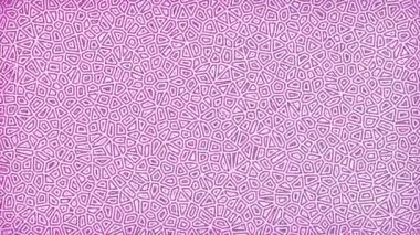 Renkli unsurlarla hareketli arka plan görüntüleri. Çiçekler. Eski model. Bayrak tarzı. Video kaydı. Şablon. Döngü. Kusursuz..