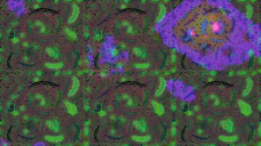 Küçük ölçekli çiçek basit şirin desende. Üretim, duvar kağıdı, baskı, hediye paketi ve scrapbooking Tekstil veya kitap için çiçek sorunsuz arka plan kapsar. Raster illüstrasyon.