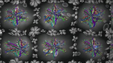 Renkli unsurlarla hareketli arka plan görüntüleri. Çiçekler. Eski model. Bayrak tarzı. Video kaydı. Şablon. Döngü. Kusursuz..