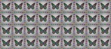 Ambalajlar, duvar kağıtları, kumaş tasarımı ve kağıt için hoş bir arkaplan. Kahverengi, beyaz ve yeşil renkli resimler. Kusursuz. Güzel kelebek desenli çizim tasarımı.