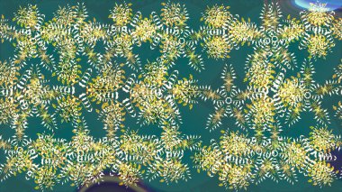 Kar Taneleri Karalamaları. El çizimi Noel Raster illüstrasyonu. Yeni Yıl Dekoratif Kar Taneleri Arkaplanı.