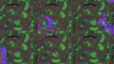 Kızılderili desenli desenli desenli şal deseni. Etnik Mandala süsü. Raster Henna dövme stili. Tekstil, tebrik kartı, boyama kitabı, telefon kılıfı baskısı için kullanılabilir.