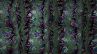 Renkli unsurlarla hareketli arka plan görüntüleri. Çiçekler. Eski model. Bayrak tarzı. Altın, altın. Video kaydı. Şablon.