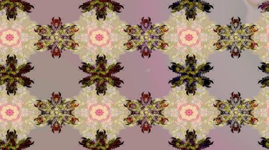 Raster bej ve nötr kar tanelerinden izole edilmiş. Güzel bir kış süsü. Kar taneleri koleksiyonu. Raster illüstrasyonu.