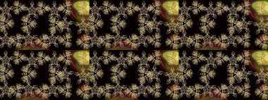 Sevimli çiçek raster deseni. Siyah renkli çiçekler. Düz Çiçek Elementleri Tasarımı. Renkli Bahar Teması çizim şablonu.