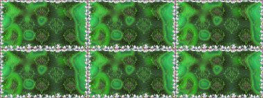 Raster illüstrasyonu. Renkli Bahar Temalı Kusursuz Arkaplan. Asya tekstil tarzında. Güzel kumaş deseni. Düz Çiçek Elementleri Tasarımı. Kusursuz çiçek deseni.