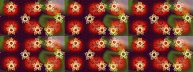 Kahverengi, kırmızı ve turuncu renklerde şirin kar taneleri. Basit bir kar tanesi. Kışın sembolü, mutlu noeller, mutlu yeni yıl kutlaması Raster illüstrasyonu. Soyut duvar kağıdı, ambalaj dekorasyonu.