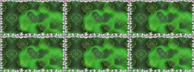 Raster deseni. Küçük çiçekte güzel bir çiçek deseni var. Çiçekli, suluboya desenli kusursuz çiçek deseni.