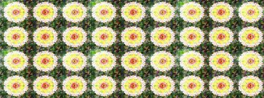 Düz Çiçek Elementleri Tasarım Raster illüstrasyonu. Çiçekli çiçek deseni, suluboya. Yeşil renkli çiçekler. Renkli Bahar Teması Eskiz Şablonu.