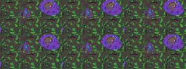 Raster deseni. Küçük çiçekte güzel bir çiçek deseni var. Çiçekli çiçek deseni, suluboya..